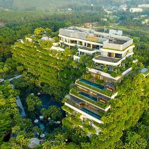 Forest In The Sky – Flamingo Đại Lải